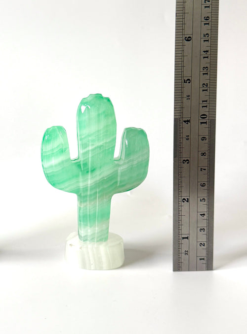 Stone Cactus